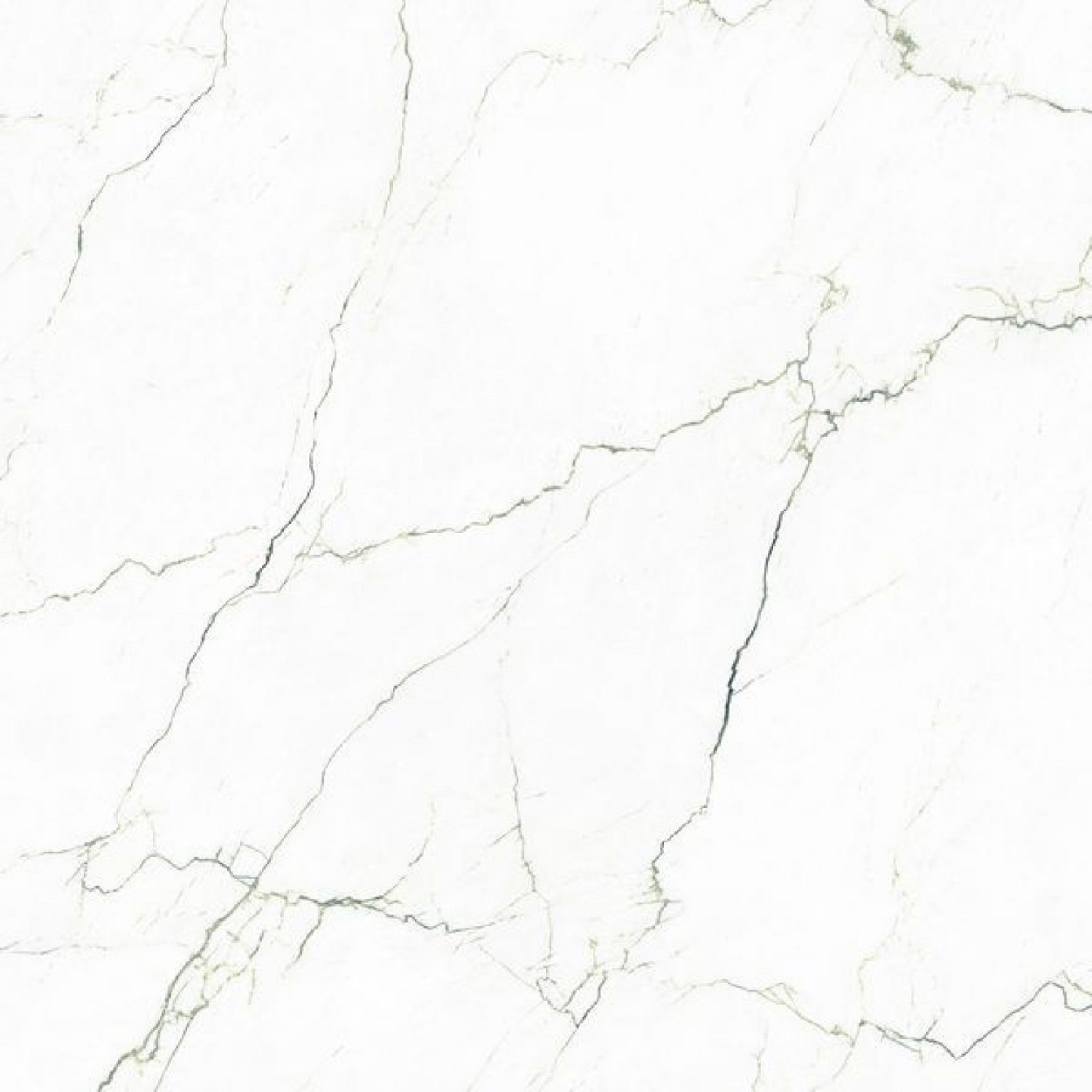 Segesta 120x120 cm verde lucido rettificato - Tagina