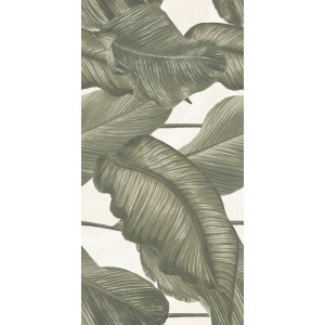 Ludo Decoro Banano Giada 60x120 cm - Ceramica Rondine | Meglioalge