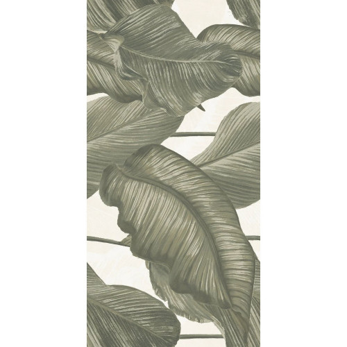 Ludo Decoro Banano Giada 60x120 cm - Ceramica Rondine | Meglioalge