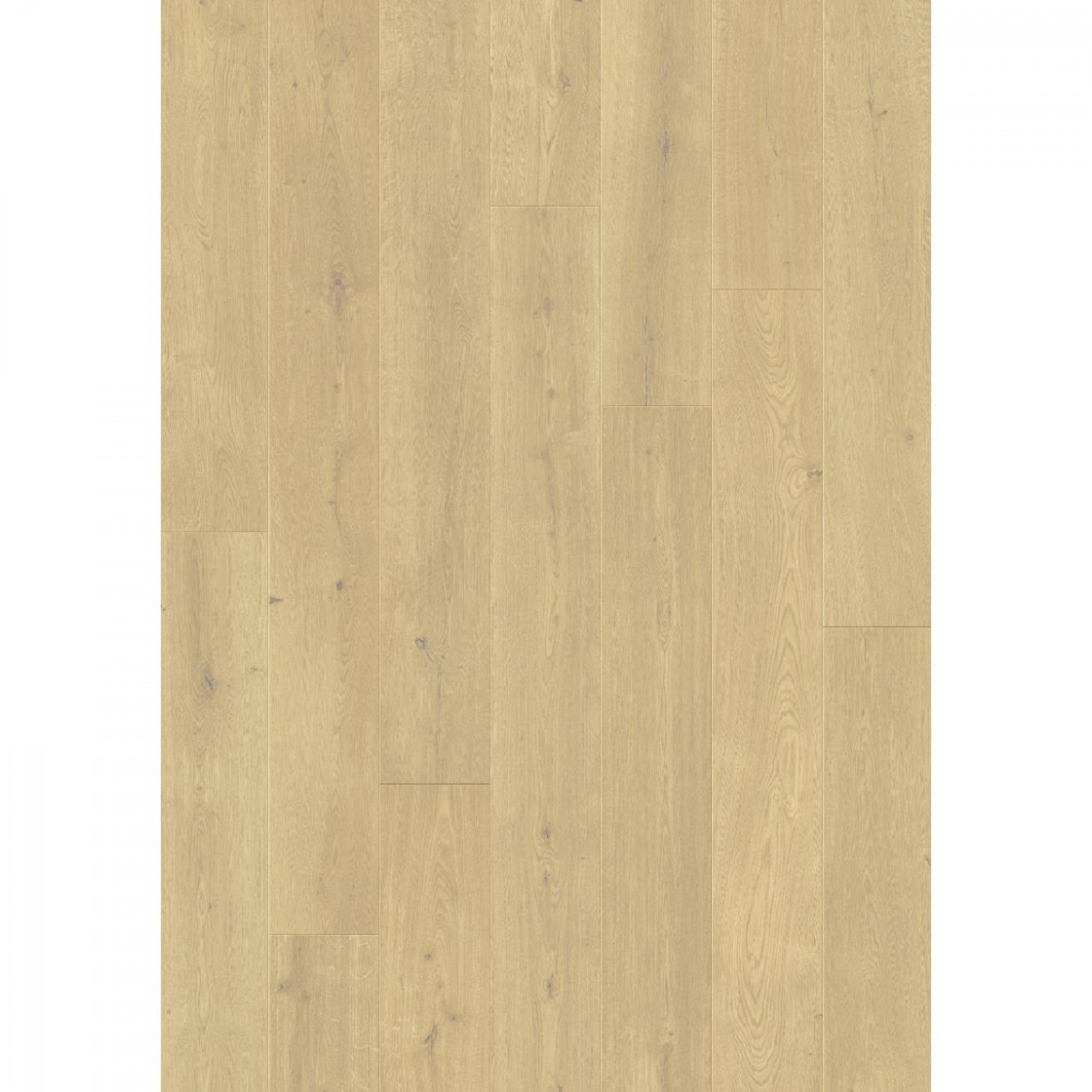 Odense Laminato 24x205 cm rovere nuvoloso - Pergo