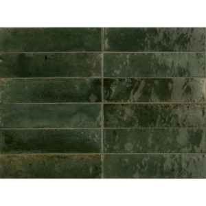 Look Oliva Glossy 6x24 cm - Ragno