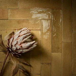 Look Ocra Glossy 6x24 cm - Ragno 2