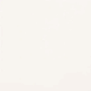 Unicolore Bianco Assoluto 20x20 cm - Casalgrande Padana