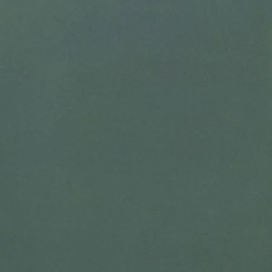 Unicolore Verde 20x20 cm - Casalgrande Padana