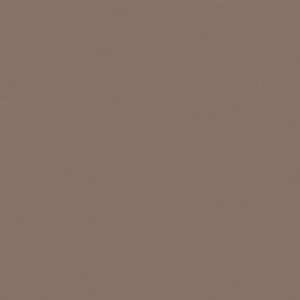 Unicolore Grigio Cenere 20x20 cm - Casalgrande Padana