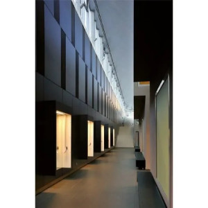 Unicolore Grigio Cenere 20x20 cm - Casalgrande Padana 2