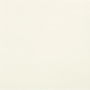 Unicolore Bianco Assoluto 30x30 cm - Casalgrande Padana