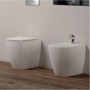 Bidet a Terra Filomuro 53x36 cm Comoda Bianco Lucido - Azzurra 2
