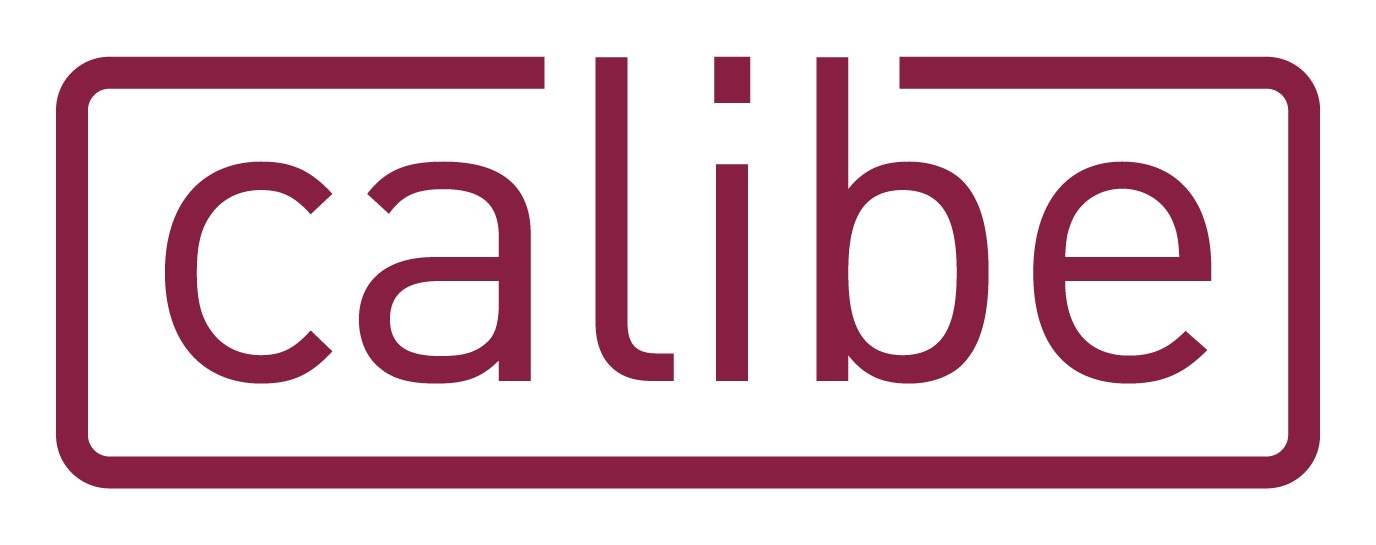 CALIBE SRL